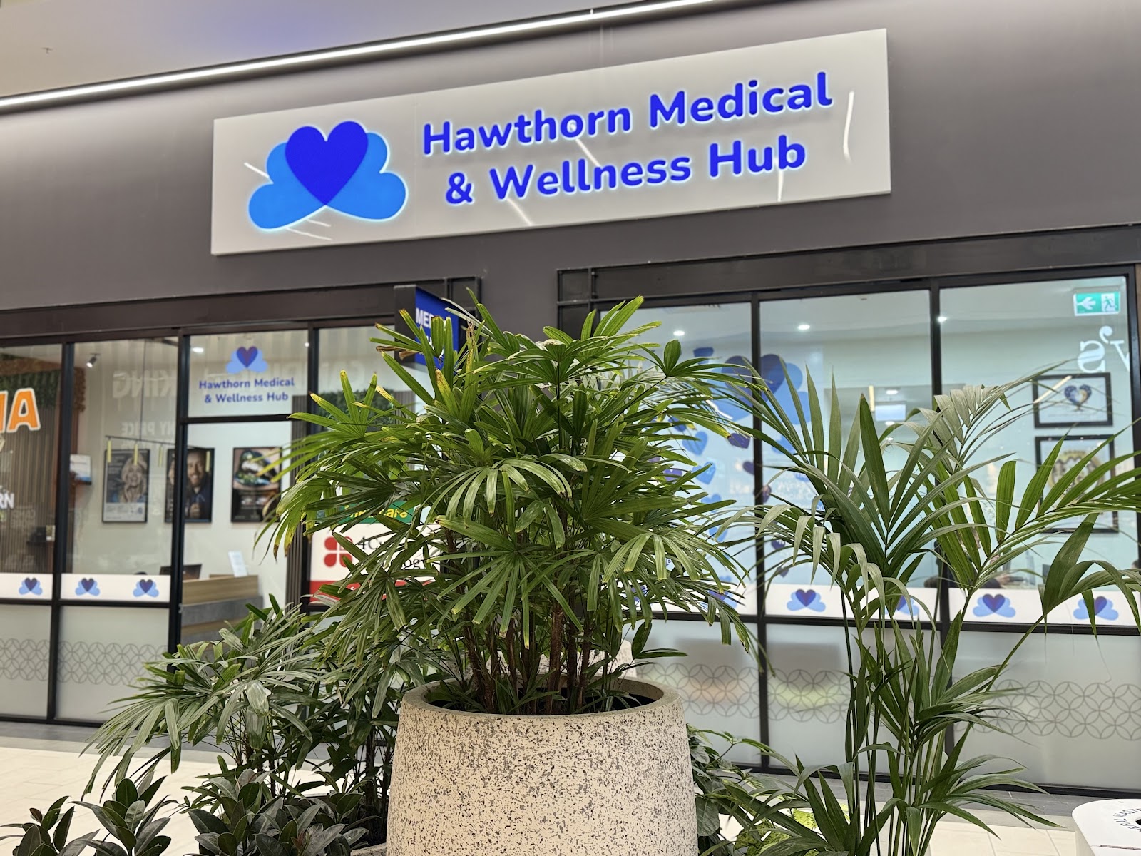 Hawthorn Cosmetic Hub, Hawthorn East, VIC
