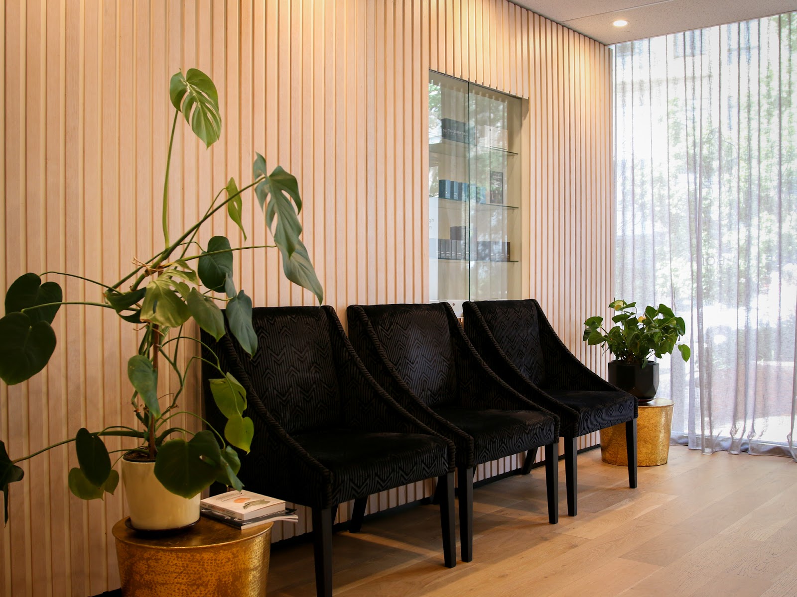 Dr Mohaghegh, Edgecliff, NSW